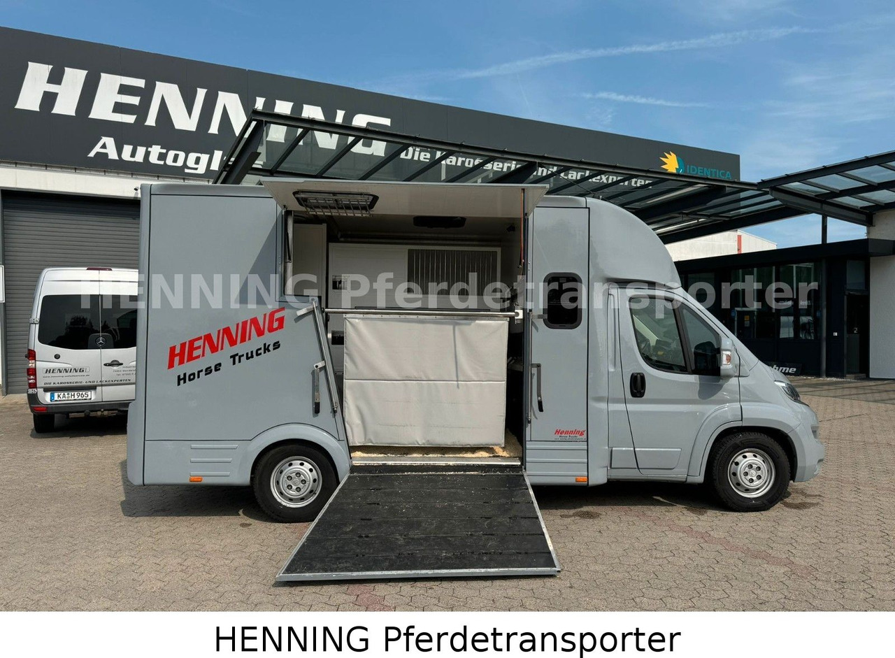 Citroën Jumper 5 - Sitzer - Livestock truck: picture 3 Citroën Jumper 5 - Sitzer - Livestock truck: picture 3