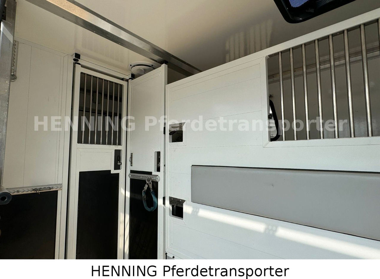 Citroën Jumper 5 - Sitzer - Livestock truck: picture 5 Citroën Jumper 5 - Sitzer - Livestock truck: picture 5