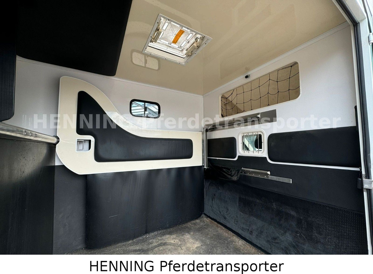 Fiat Ducato 3-Sitzer - Horse truck, Van: picture 5 Fiat Ducato 3-Sitzer - Horse truck, Van: picture 5