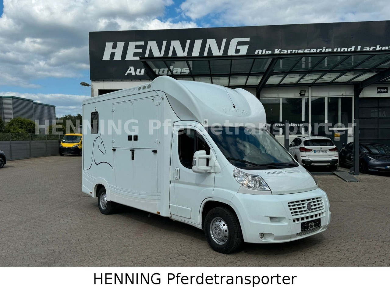 Fiat Ducato 3-Sitzer - Horse truck, Van: picture 1 Fiat Ducato 3-Sitzer - Horse truck, Van: picture 1