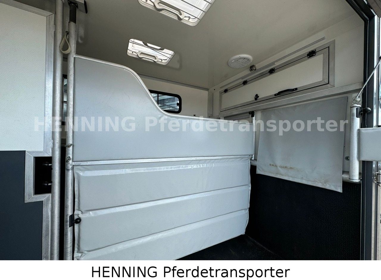 Renault 3-Sitzer - Horse truck, Van: picture 4 Renault 3-Sitzer - Horse truck, Van: picture 4