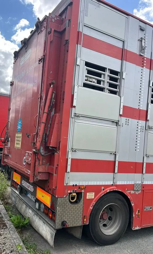 DAF XF 530 + Przyczepa Pezzaoli - 3X Trzoda, 2 X Bydło I 3 poziomy I Podnoszony dach I Hydroburta I Osie Skrętne I Poidła I Wentylatory I Pilot Manualny | - Livestock truck: picture 5 DAF XF 530 + Przyczepa Pezzaoli - 3X Trzoda, 2 X Bydło I 3 poziomy I Podnoszony dach I Hydroburta I Osie Skrętne I Poidła I Wentylatory I Pilot Manualny | - Livestock truck: picture 5