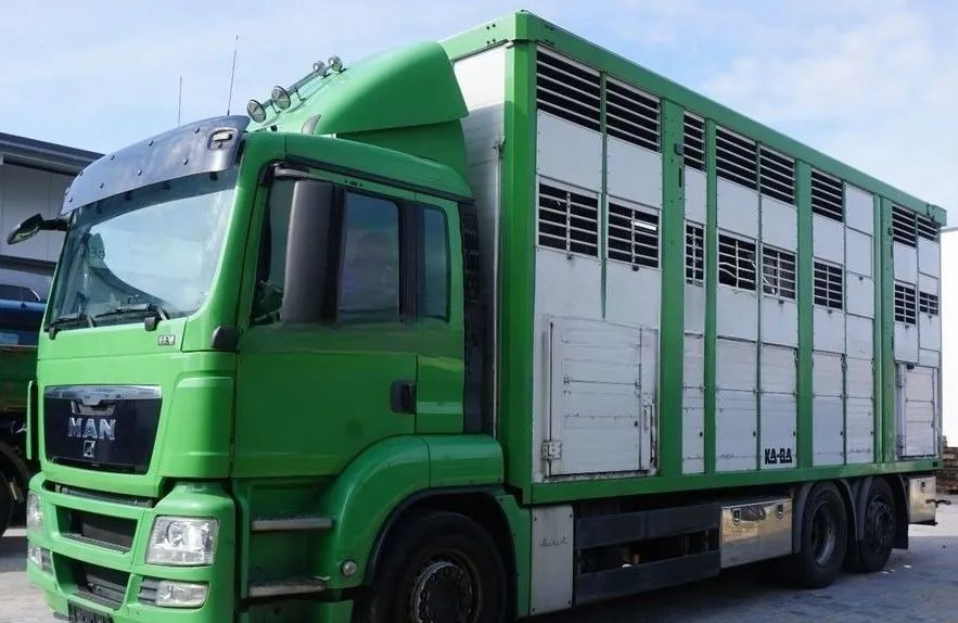 MAN TGS 26.440 ZABUDOWA KABA CAŁA ALUMINIOWA– samochód do transportu zwierząt/koni – 3 pokłady / EURO 5/6X2/PODNOSZONY DACH - Other machinery: picture 1 MAN TGS 26.440 ZABUDOWA KABA CAŁA ALUMINIOWA– samochód do transportu zwierząt/koni – 3 pokłady / EURO 5/6X2/PODNOSZONY DACH - Other machinery: picture 1