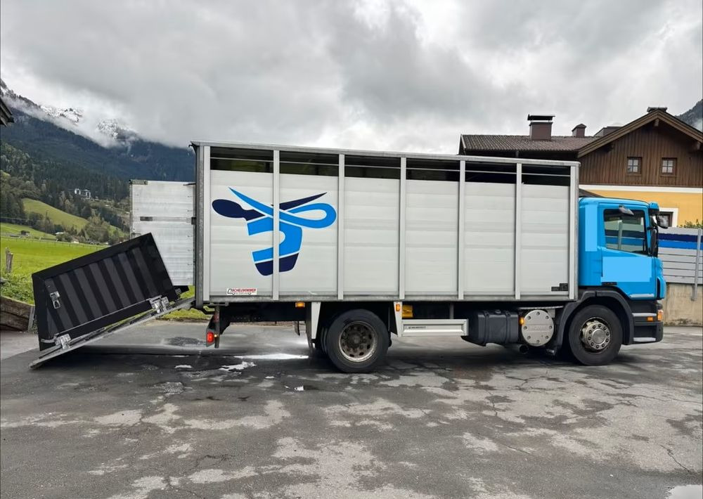Scania P280 4x2 – Pojazd do przewozu zwierząt VIEHFAHRZEUG / jednopoziomowy – 171.000 km!! – Euro 5 - Other machinery: picture 4 Scania P280 4x2 – Pojazd do przewozu zwierząt VIEHFAHRZEUG / jednopoziomowy – 171.000 km!! – Euro 5 - Other machinery: picture 4