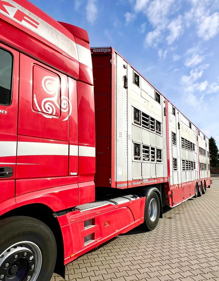 Livestock semi-trailer Pezzaioli NACZEPA  2017 / 3 POZIOMY / TRANSPORT ZWIERZĄT / HYDRAULIKA / STEROWANIE PILOTEM/ PODNOSZONY DACH /: picture 7