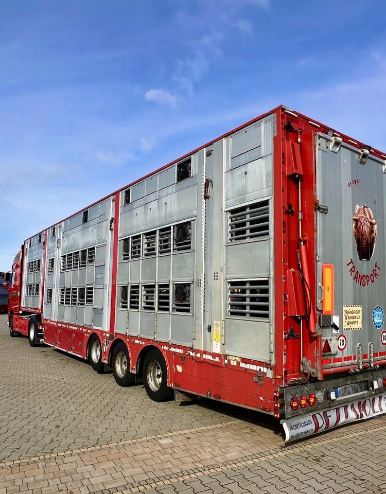 Pezzaioli NACZEPA 2017 / 3 POZIOMY / TRANSPORT ZWIERZĄT / HYDRAULIKA / STEROWANIE PILOTEM/ PODNOSZONY DACH / - Livestock semi-trailer: picture 1 Pezzaioli NACZEPA 2017 / 3 POZIOMY / TRANSPORT ZWIERZĄT / HYDRAULIKA / STEROWANIE PILOTEM/ PODNOSZONY DACH / - Livestock semi-trailer: picture 1