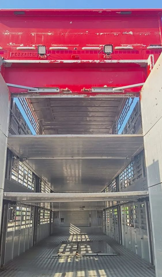 Livestock semi-trailer Pezzaioli NACZEPA  2017 / 3 POZIOMY / TRANSPORT ZWIERZĄT / HYDRAULIKA / STEROWANIE PILOTEM/ PODNOSZONY DACH /: picture 14