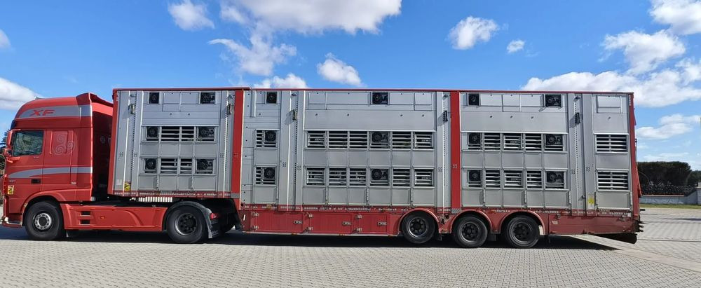 Pezzaioli SBA32/hydrauliczny dach/hydrauliczna rampa/ 3 poziomy/ 2xbydło -3xtrzoda/wentylatory/poidła/sterowanie pilotem - Livestock semi-trailer: picture 3 Pezzaioli SBA32/hydrauliczny dach/hydrauliczna rampa/ 3 poziomy/ 2xbydło -3xtrzoda/wentylatory/poidła/sterowanie pilotem - Livestock semi-trailer: picture 3