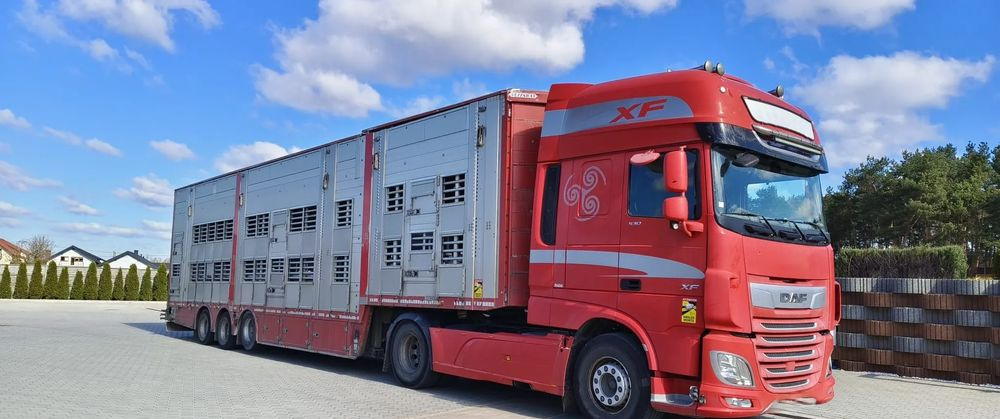 Pezzaioli SBA32/hydrauliczny dach/hydrauliczna rampa/ 3 poziomy/ 2xbydło -3xtrzoda/wentylatory/poidła/sterowanie pilotem - Livestock semi-trailer: picture 2 Pezzaioli SBA32/hydrauliczny dach/hydrauliczna rampa/ 3 poziomy/ 2xbydło -3xtrzoda/wentylatory/poidła/sterowanie pilotem - Livestock semi-trailer: picture 2
