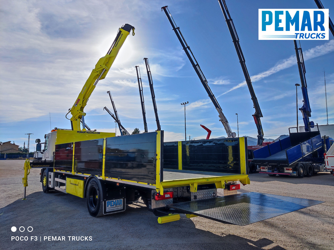 Crane truck SCANIA P 250 GRUA CAJA FIJA: picture 15