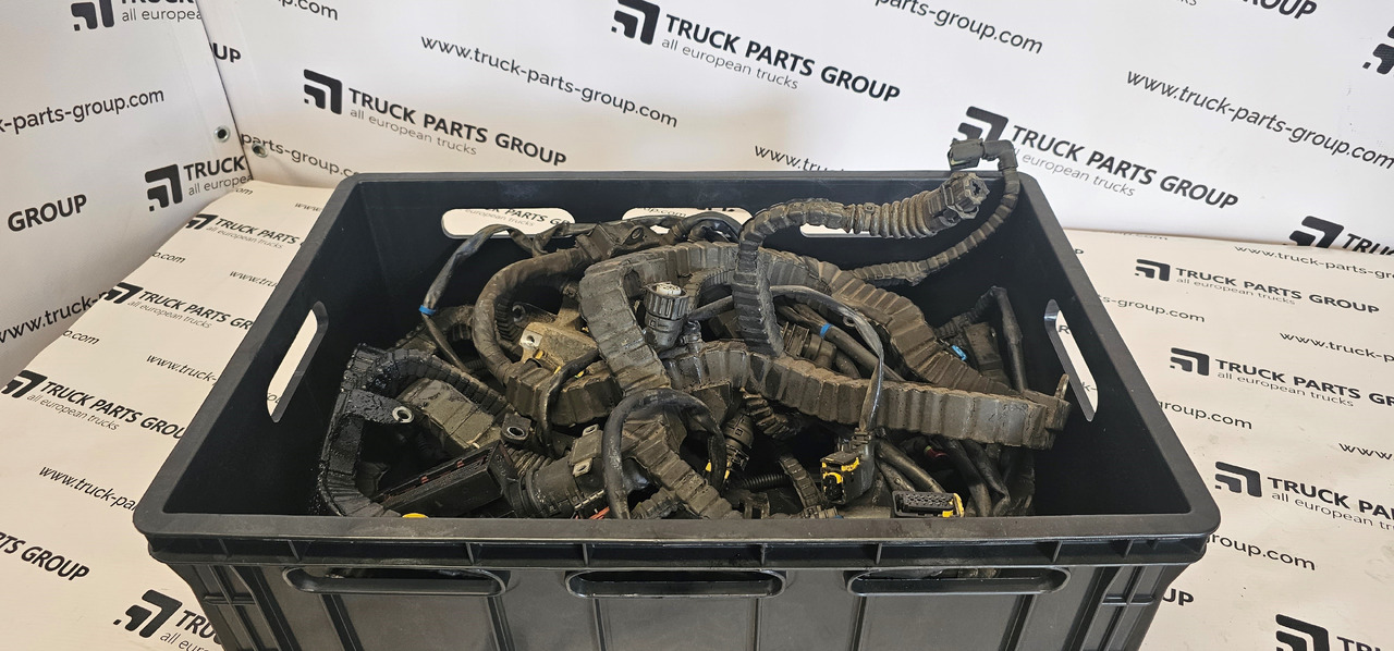 DAF DAF XF, 106XF EURO6 emission MX13 engine cable wiring harness, electric installation cables set 200608100, 2178067, 2006097, 2010004, 1957513, 1999661, 2032829, 1943976, 1952941, 2034713, 1875420, 194 - Spare parts: picture 1 DAF DAF XF, 106XF EURO6 emission MX13 engine cable wiring harness, electric installation cables set 200608100, 2178067, 2006097, 2010004, 1957513, 1999661, 2032829, 1943976, 1952941, 2034713, 1875420, 194 - Spare parts: picture 1