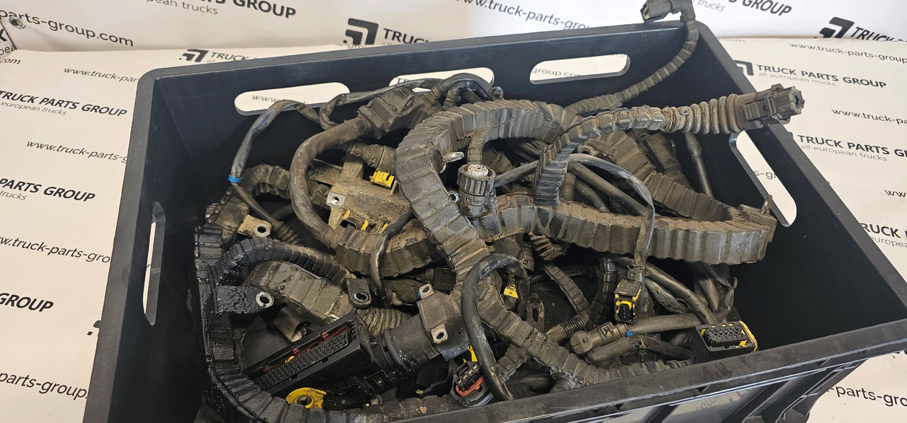 DAF DAF XF, 106XF EURO6 emission MX13 engine cable wiring harness, electric installation cables set 200608100, 2178067, 2006097, 2010004, 1957513, 1999661, 2032829, 1943976, 1952941, 2034713, 1875420, 194 - Spare parts: picture 2 DAF DAF XF, 106XF EURO6 emission MX13 engine cable wiring harness, electric installation cables set 200608100, 2178067, 2006097, 2010004, 1957513, 1999661, 2032829, 1943976, 1952941, 2034713, 1875420, 194 - Spare parts: picture 2