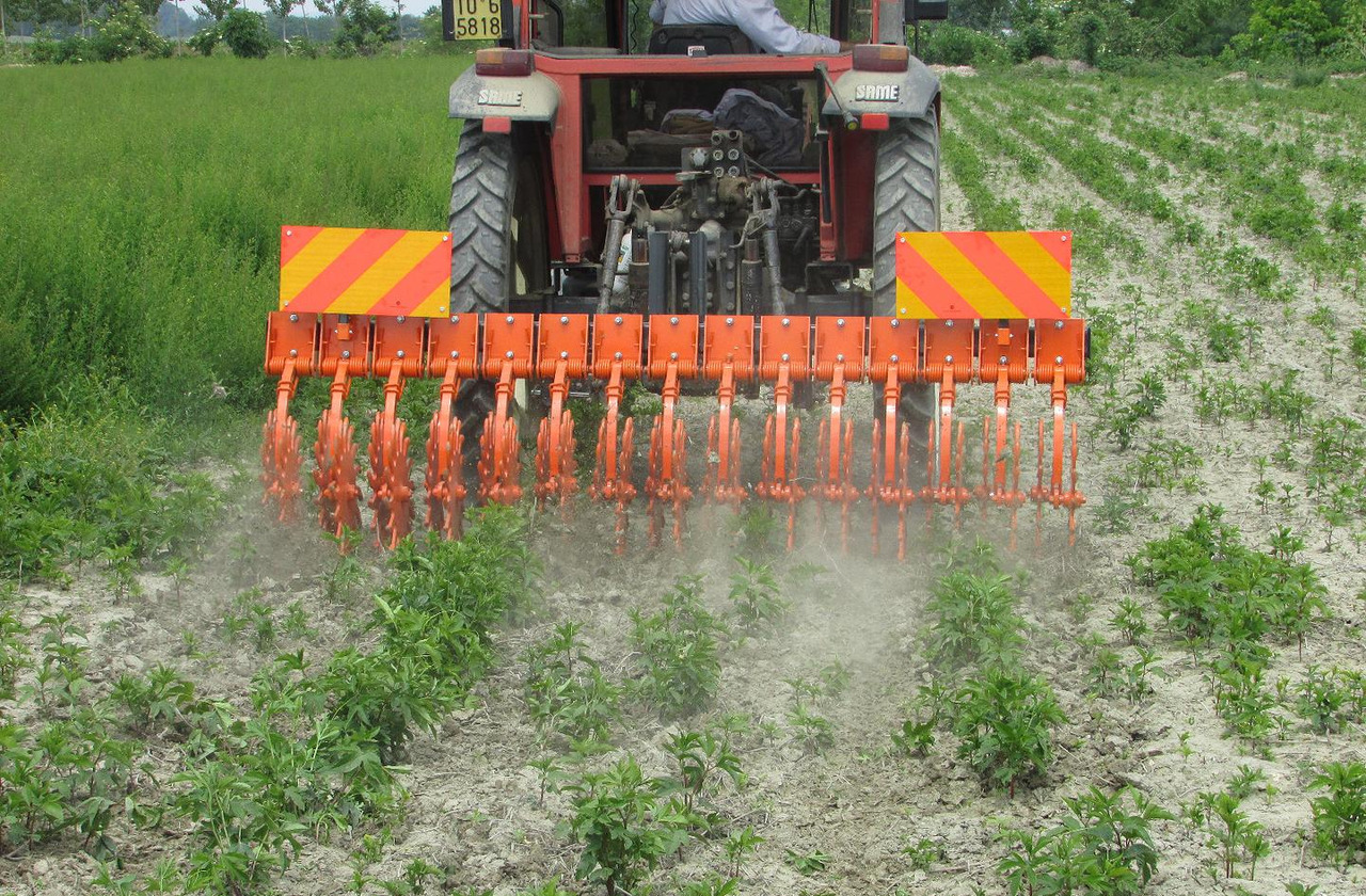 Rompicrosta a.s.r. 270 - Soil tillage equipment: picture 4 Rompicrosta a.s.r. 270 - Soil tillage equipment: picture 4