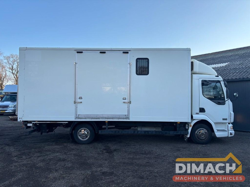 DAF FA LF45.150 4 paards, laadlift. Horsetruck NL truck - Horse truck: picture 4 DAF FA LF45.150 4 paards, laadlift. Horsetruck NL truck - Horse truck: picture 4