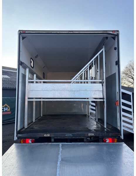 Livestock truck DAF LF 45.150 4 paards, laadlift. Horsetruck NL truck: picture 15