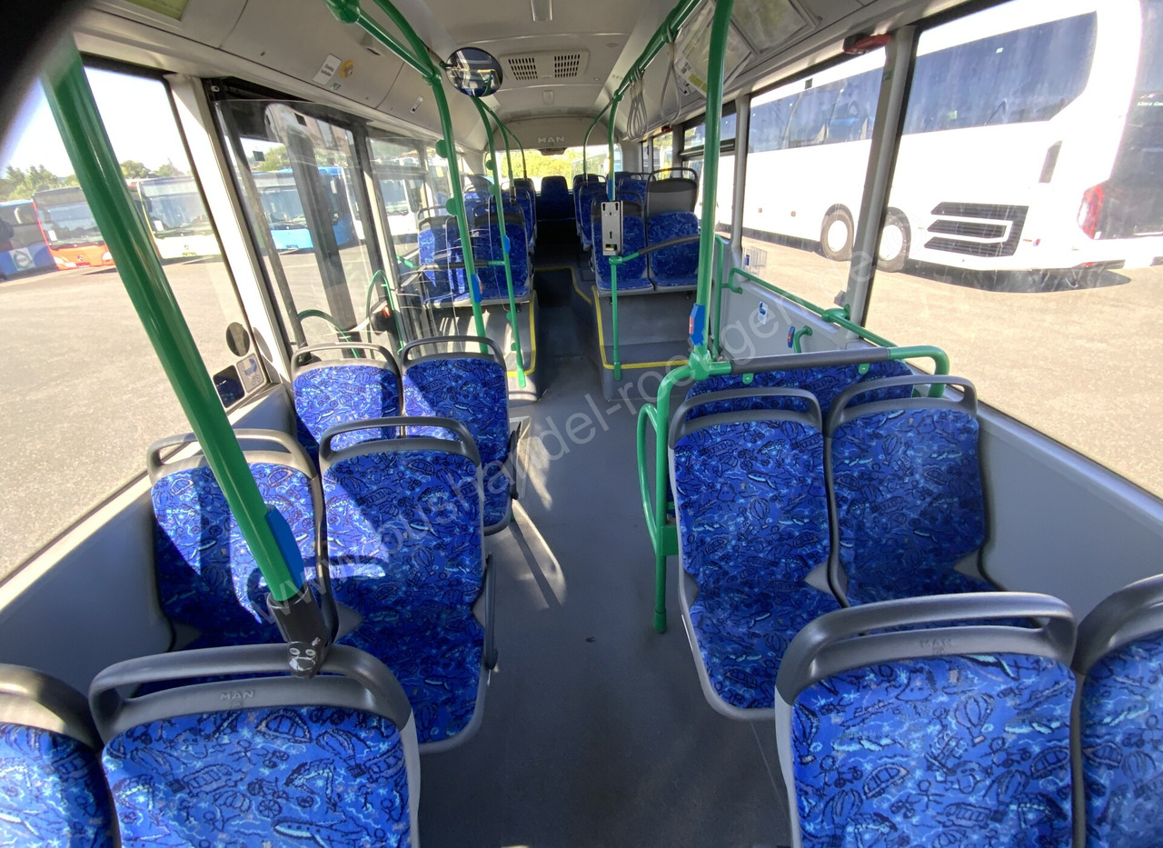 City bus MAN A 21 Lion´s City: picture 11