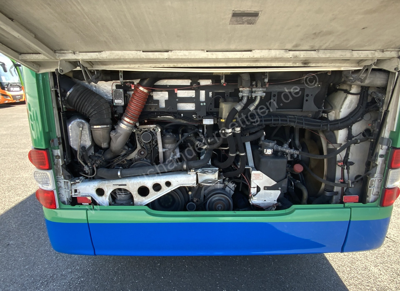 City bus MAN A 21 Lion´s City: picture 7