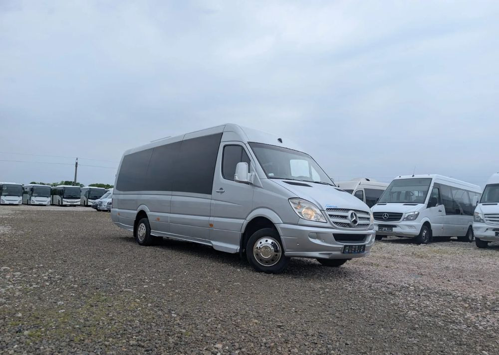 Minibus, Passenger van Mercedes-Benz Sprinter 516: picture 1
