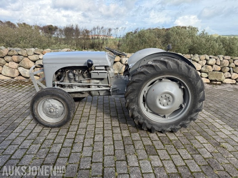 1960 Massey Ferguson Gråtass - Farm tractor: picture 1 1960 Massey Ferguson Gråtass - Farm tractor: picture 1
