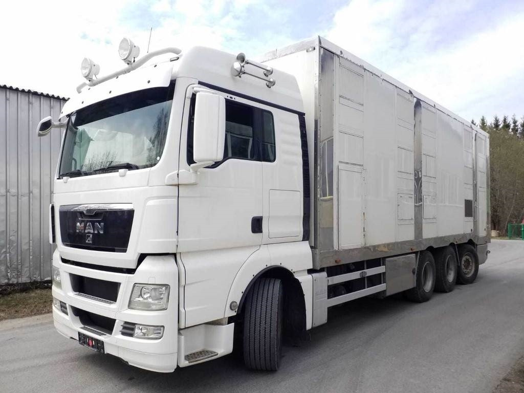 MAN TGX 35.540 8X4 TRIDEM ANIMAL - Livestock truck: picture 1 MAN TGX 35.540 8X4 TRIDEM ANIMAL - Livestock truck: picture 1