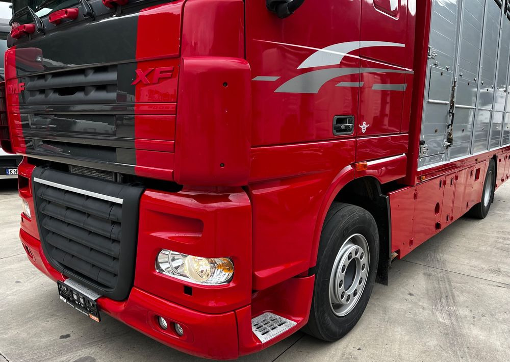DAF XF 105.460 Euro 5 // Manual // Retarder // Do Żywca / Bydła / Zwierząt / - Livestock truck: picture 4 DAF XF 105.460 Euro 5 // Manual // Retarder // Do Żywca / Bydła / Zwierząt / - Livestock truck: picture 4