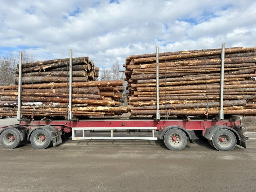 Log truck Scania R 730 6x4 Jonsered J1088S: picture 6