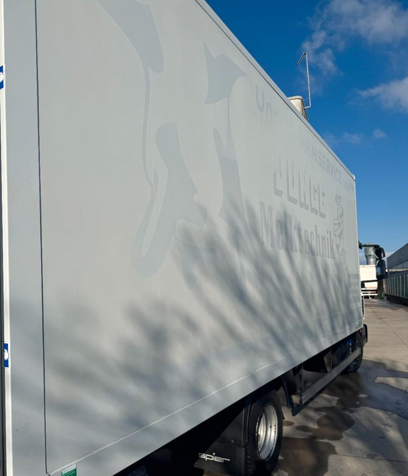 Box truck Eurocargo furgone e sponda: picture 8