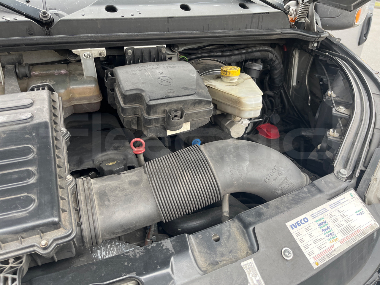 Leasing of  Iveco Daily Iveco Daily: picture 15