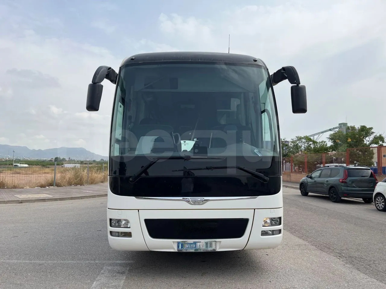 Man Lion's Coach - Coach: picture 2 Man Lion's Coach - Coach: picture 2