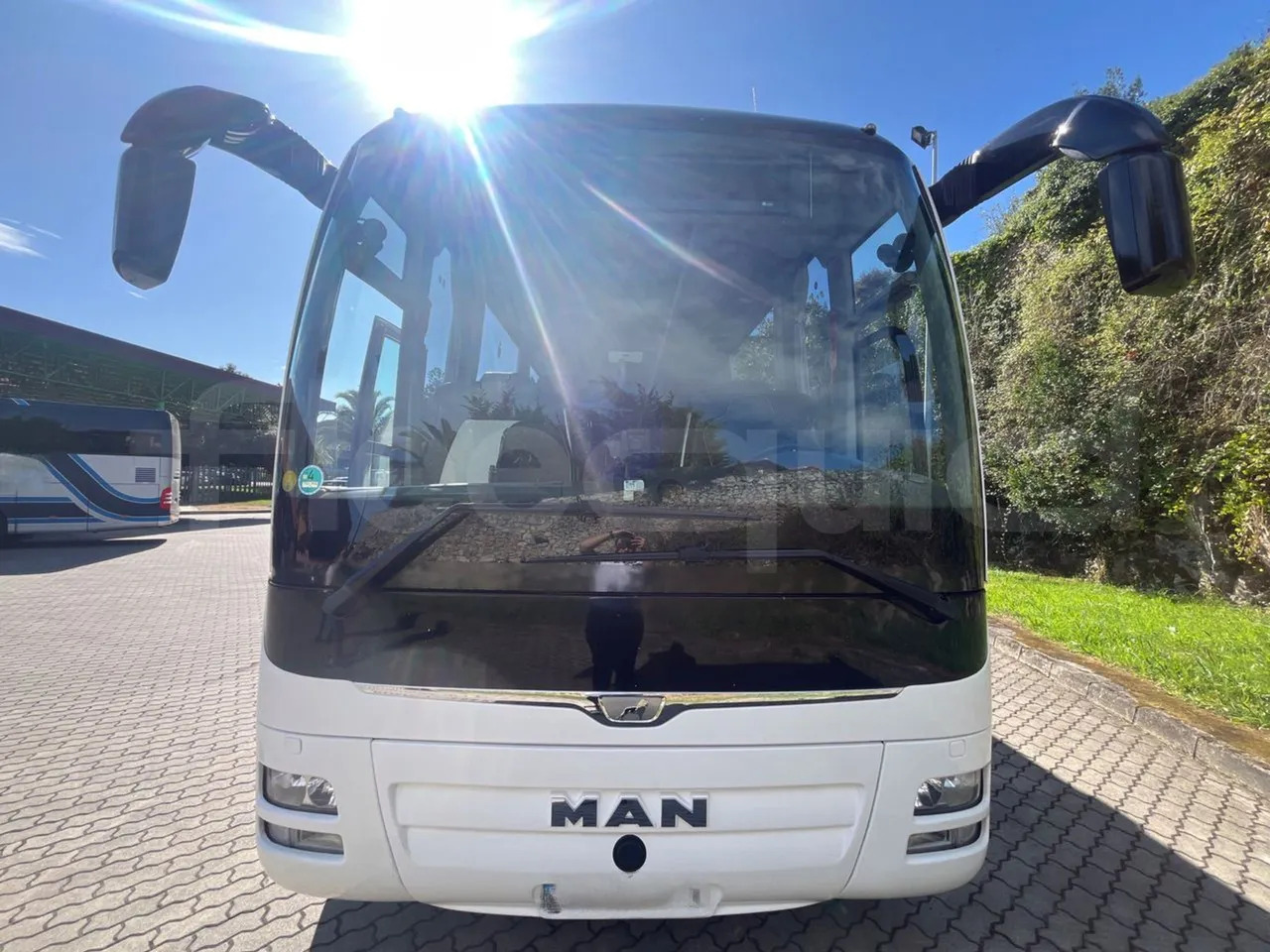 Man Lion's Coach - Coach: picture 2 Man Lion's Coach - Coach: picture 2