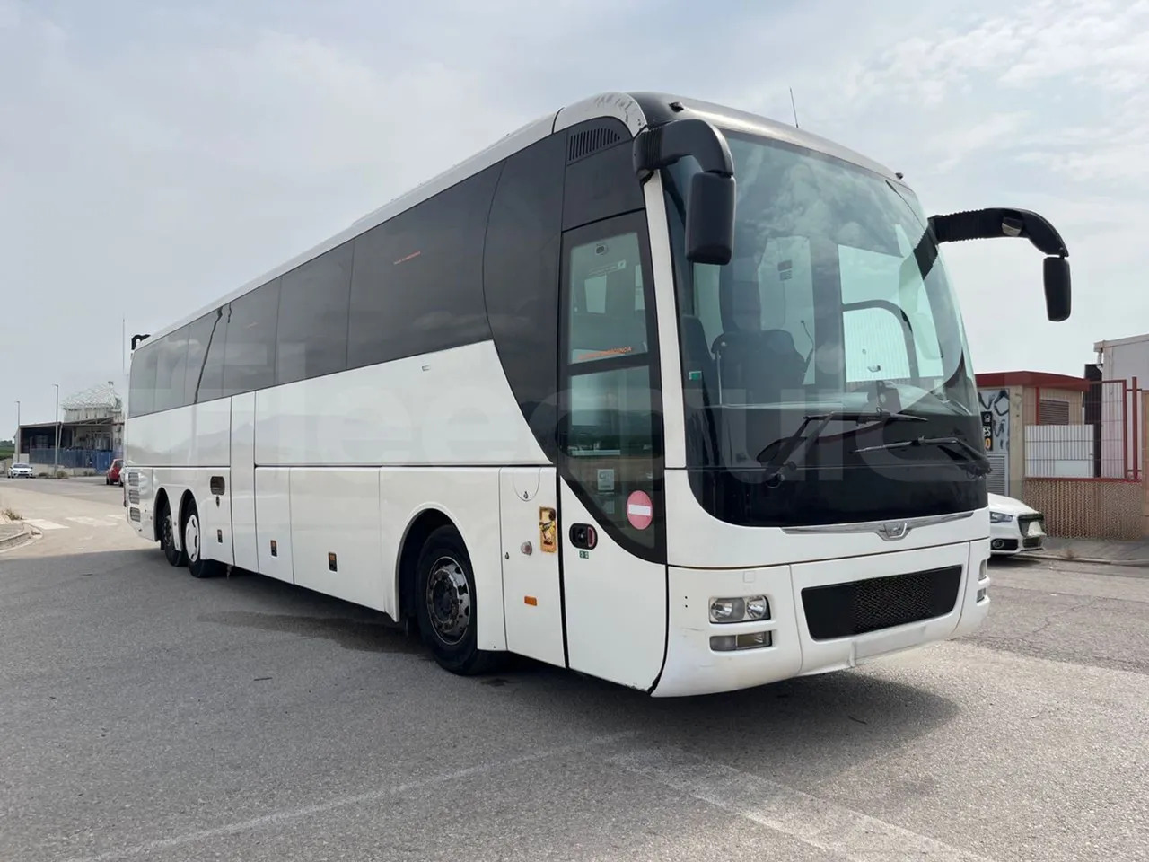 Man Lion's Coach - Coach: picture 1 Man Lion's Coach - Coach: picture 1
