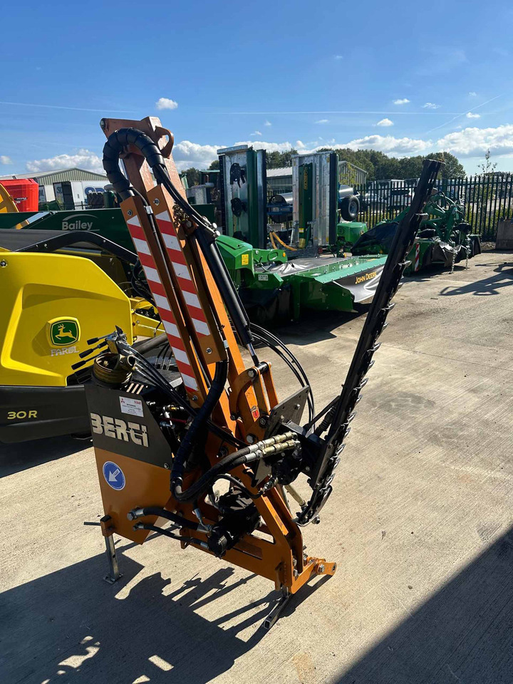 Berti FB/G 250 Hedgecutter - Boom mower: picture 3 Berti FB/G 250 Hedgecutter - Boom mower: picture 3