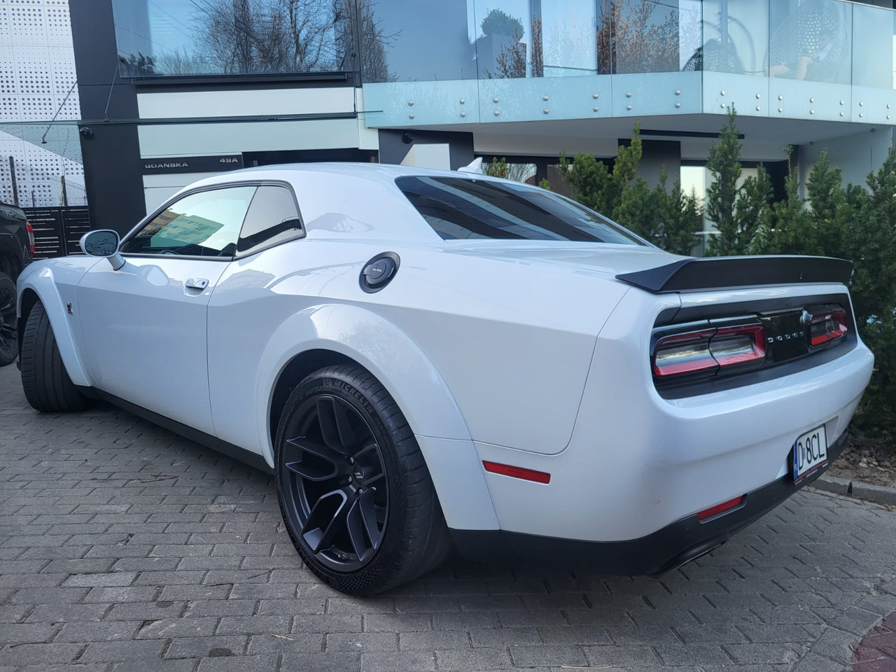 Coupe Dodge Challenger: picture 29