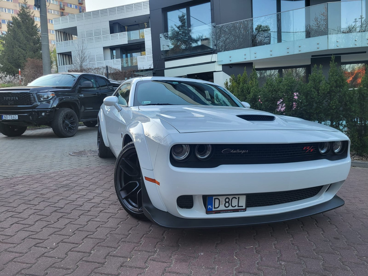 Coupe Dodge Challenger: picture 31