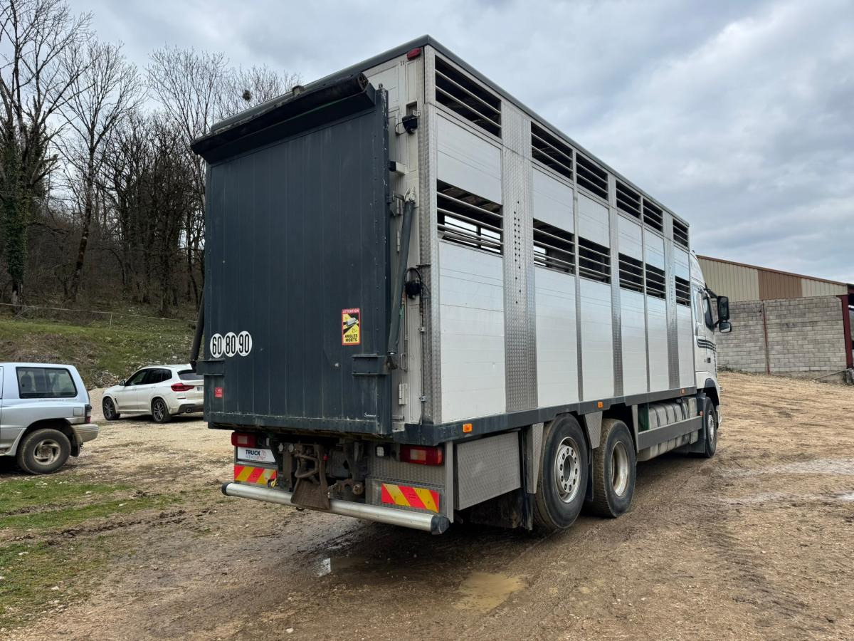 Volvo FH 540 - Livestock truck: picture 5 Volvo FH 540 - Livestock truck: picture 5