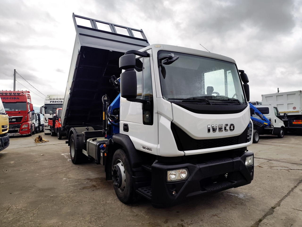 Crane truck IVECO EUROCARGO 190EL25: picture 13