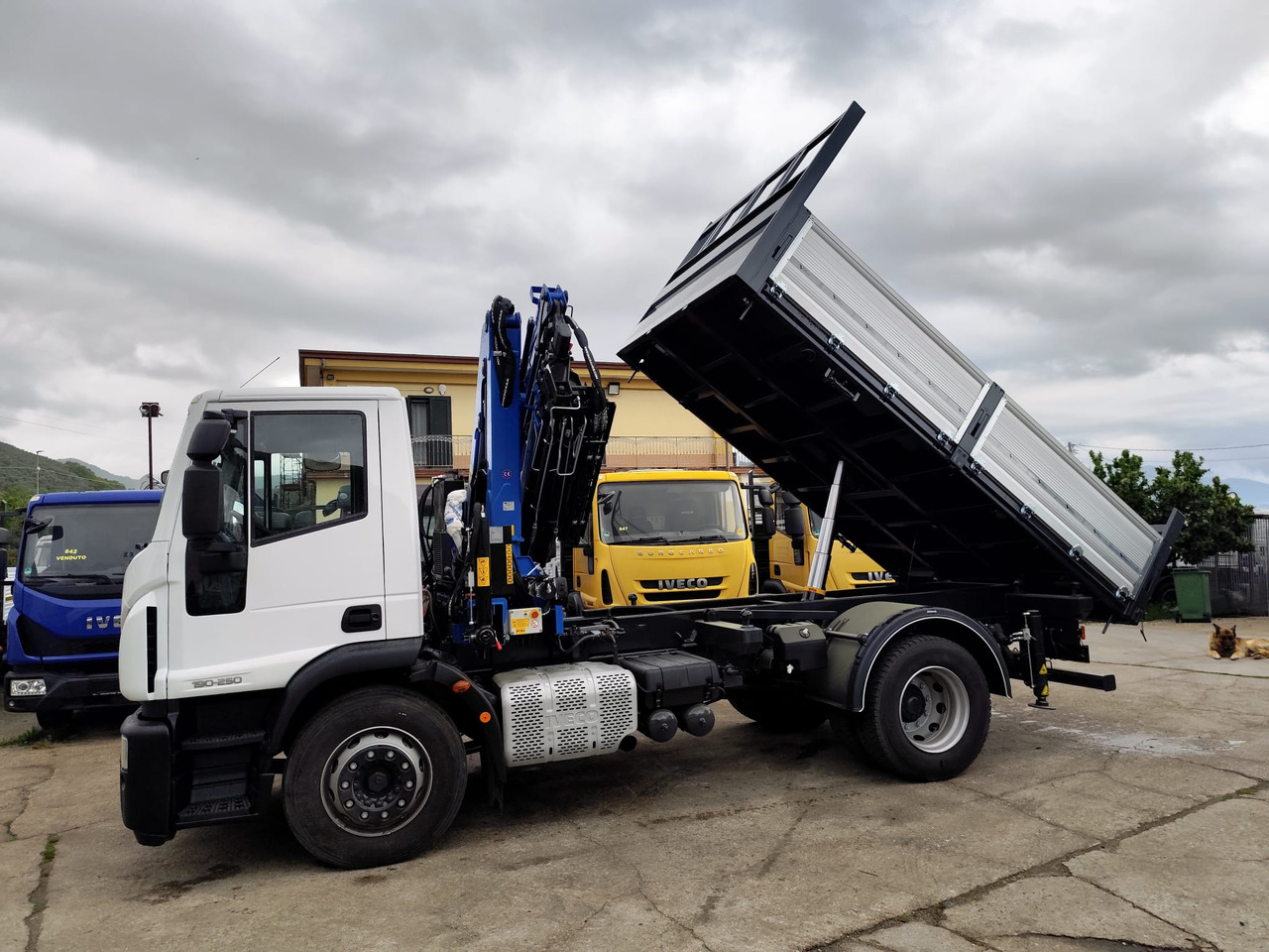 Crane truck IVECO EUROCARGO 190EL25: picture 24