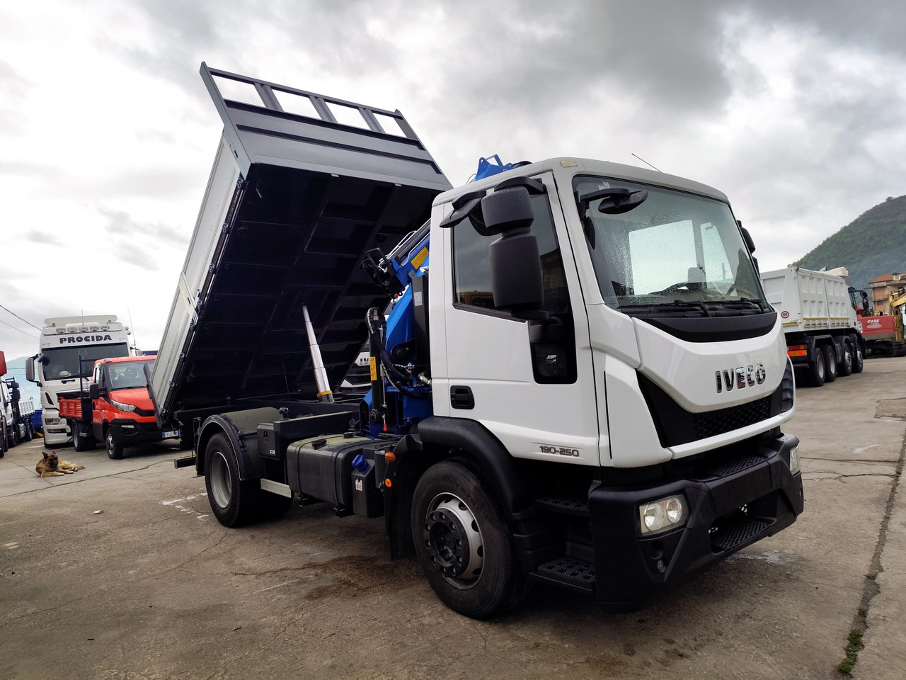 Crane truck IVECO EUROCARGO 190EL25: picture 9