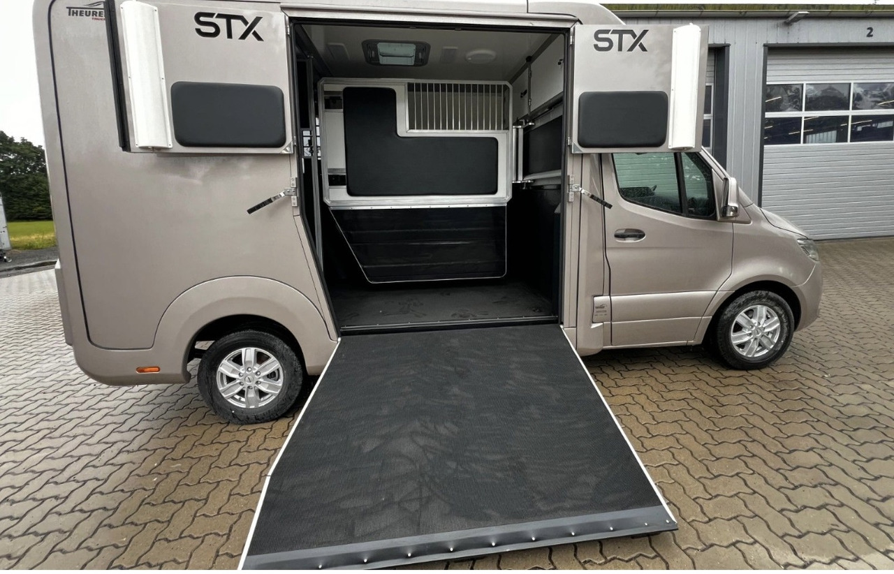 MERCEDES-BENZ Sprinter - Horse truck: picture 4 MERCEDES-BENZ Sprinter - Horse truck: picture 4
