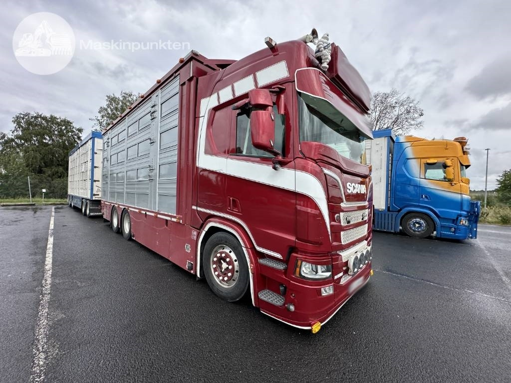 Scania R 580 Ekipage - Livestock truck: picture 3 Scania R 580 Ekipage - Livestock truck: picture 3