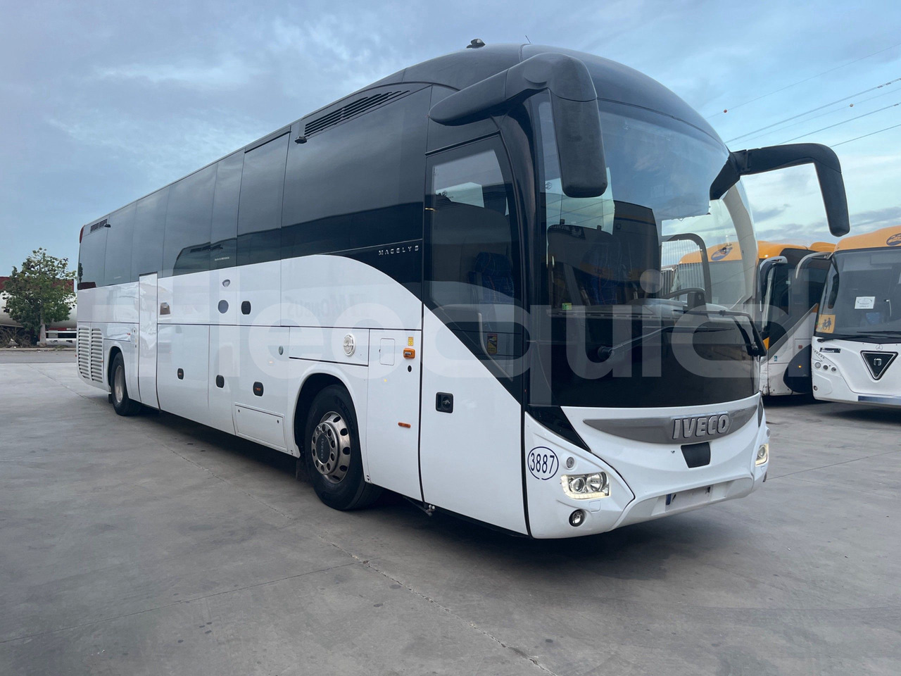 Iveco Magelys - Coach: picture 1 Iveco Magelys - Coach: picture 1