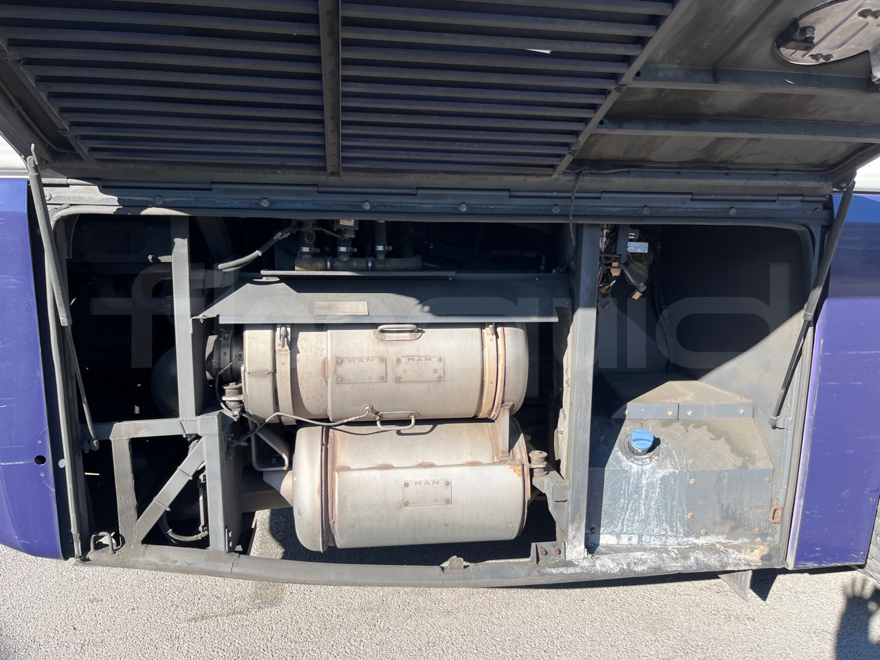 Leasing of  Man Lion's Coach Man Lion's Coach: picture 18 Leasing of  Man Lion's Coach Man Lion's Coach: picture 18