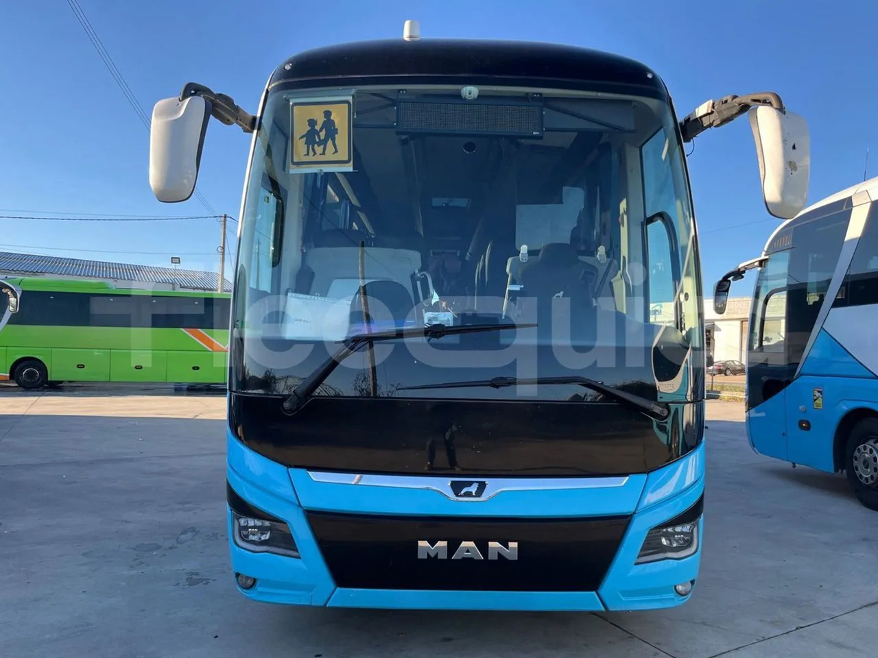Man Lion's Coach - Coach: picture 2 Man Lion's Coach - Coach: picture 2