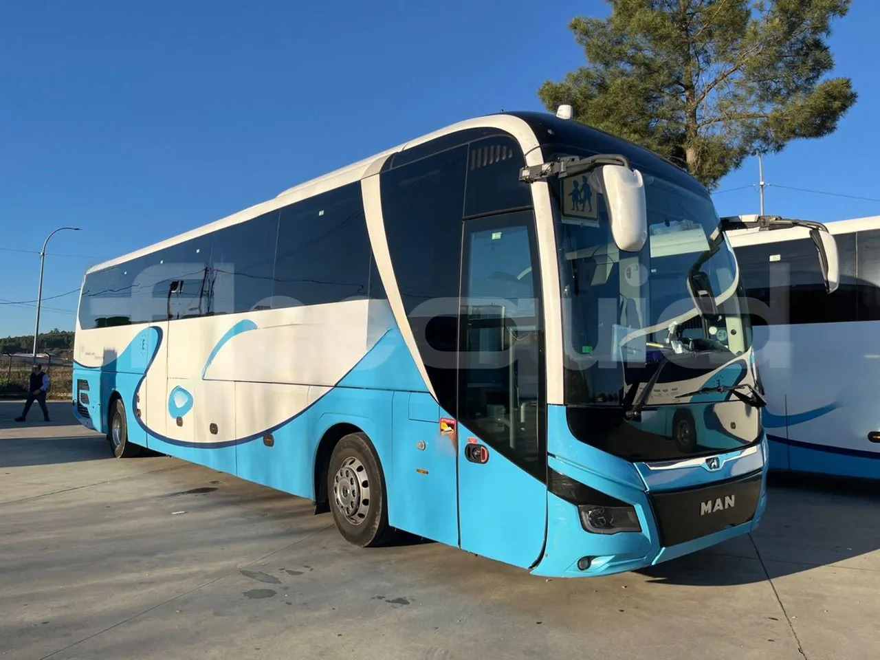 Man Lion's Coach - Coach: picture 1 Man Lion's Coach - Coach: picture 1