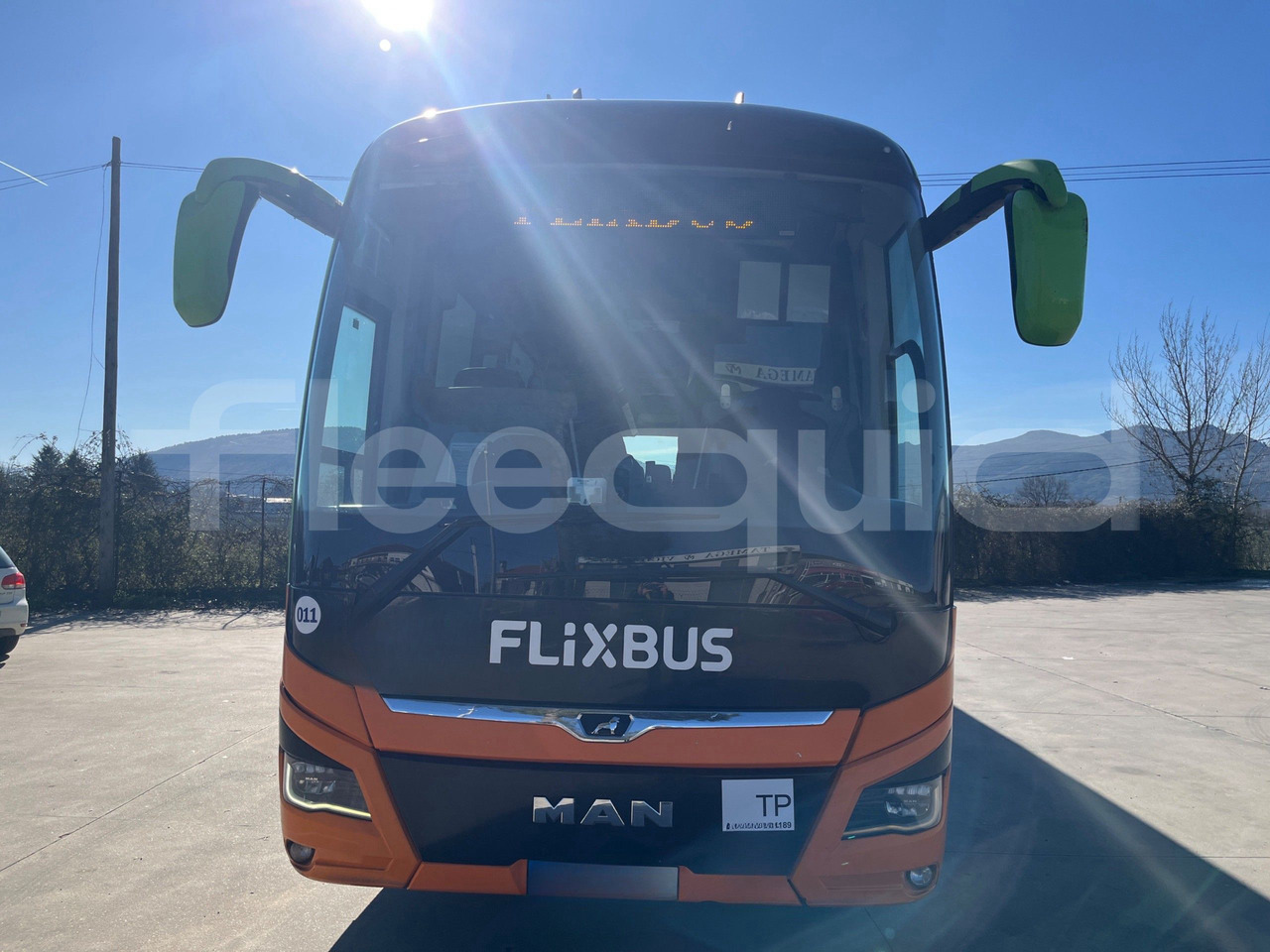 Man Lion's Coach - Coach: picture 2 Man Lion's Coach - Coach: picture 2