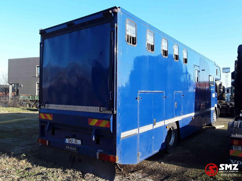 Livestock truck MAN 18.264: picture 7