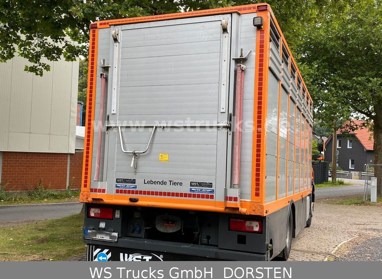 DAF CF 400 Menke Einstock - Horse truck: picture 3 DAF CF 400 Menke Einstock - Horse truck: picture 3