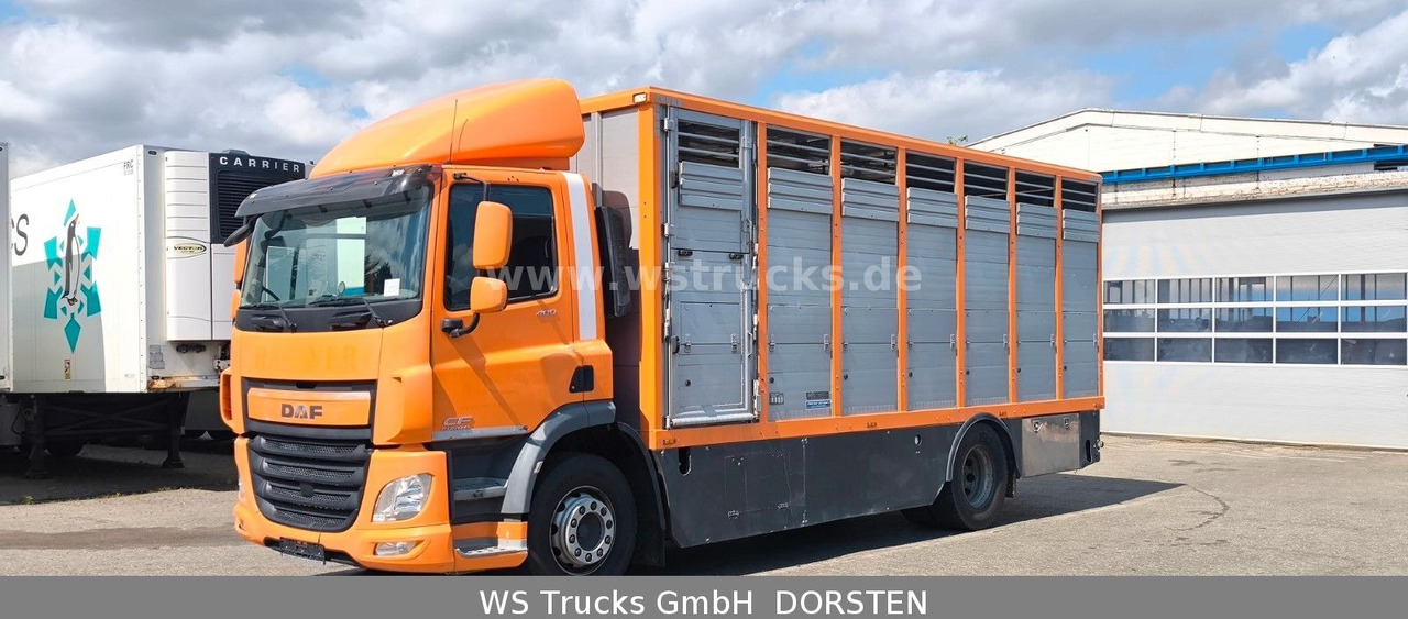 DAF CF 400 Menke Einstock Viehtransporter - Horse truck: picture 3 DAF CF 400 Menke Einstock Viehtransporter - Horse truck: picture 3
