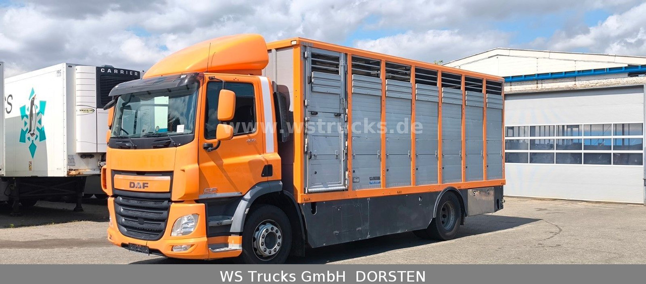 DAF CF 400 Menke Einstock Viehtransporter - Horse truck: picture 2 DAF CF 400 Menke Einstock Viehtransporter - Horse truck: picture 2