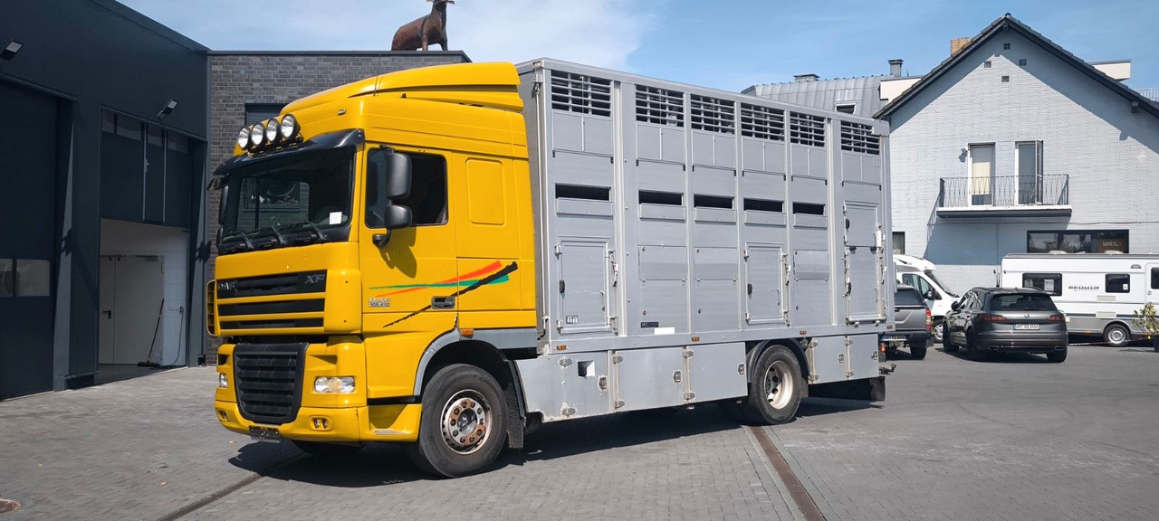 DAF XF 410 SC Menke Doppelstock - Horse truck: picture 5 DAF XF 410 SC Menke Doppelstock - Horse truck: picture 5